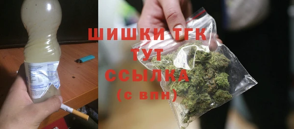 индика Верея